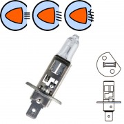 2x AMPOULE LED NAVETTE 12V 8W SV8.5 11 x 30 PLAFONNIER PLAQUE  IMMATRICULATION VOITURE JAPONAISE